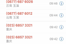 巴里坤遇到恶意拖欠？专业追讨公司帮您解决烦恼